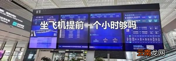 坐飞机提前一个小时够吗