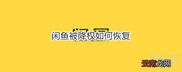 闲鱼被降权如何恢复