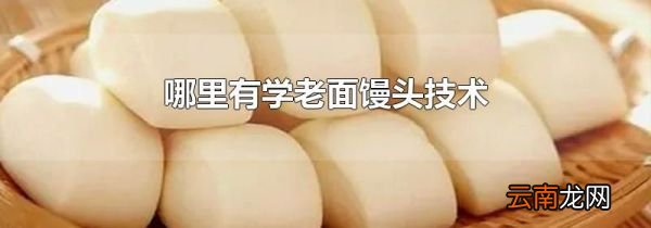 哪里有学老面馒头技术