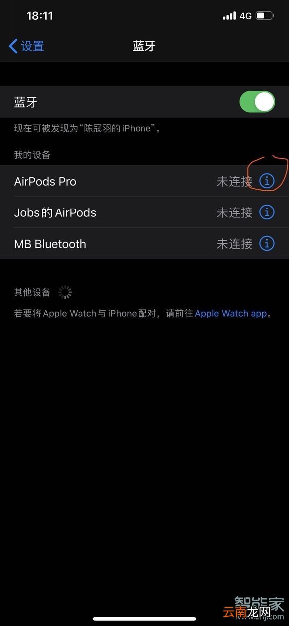 airpods pro设置界面
