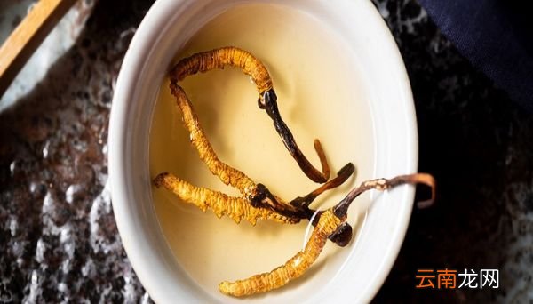 虫草可以用100℃水泡吗 虫草能用100℃水泡吗