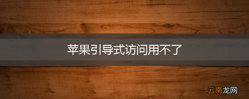 苹果引导式访问用不了