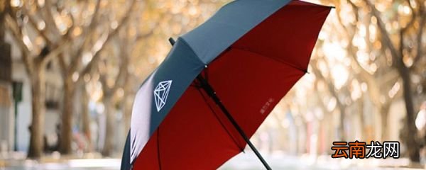 九合板雨伞与普通伞区别 九合板雨伞与普通伞区别在哪
