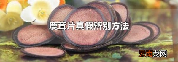 鹿茸片真假辨别方法