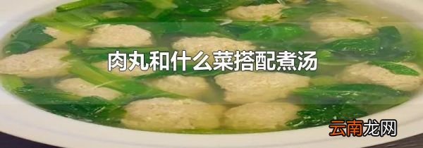 肉丸和什么菜搭配煮汤