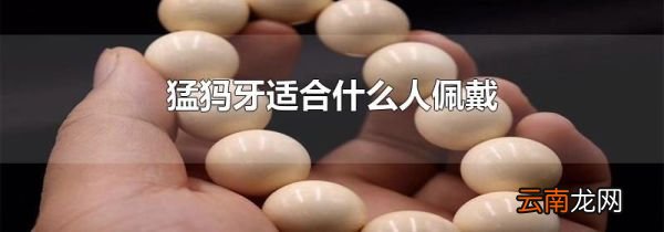 猛犸牙适合什么人佩戴