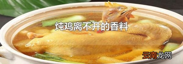 炖鸡离不开的香料