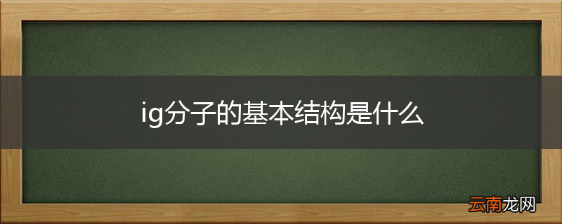 ig分子的基本结构是什么