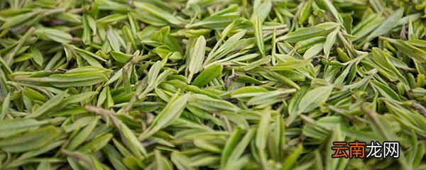 绿茶过期了还能喝吗 过期了的绿茶可以喝吗