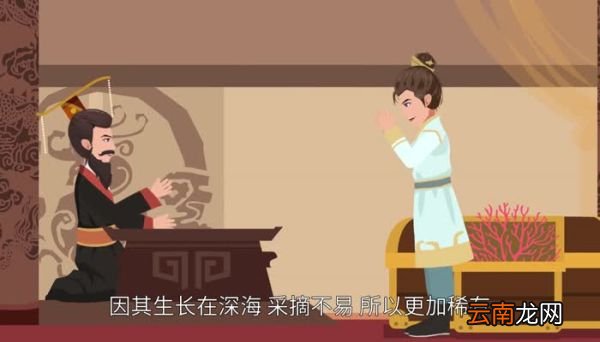 珊瑚婚是指结婚多少年 珊瑚婚是指结婚多久