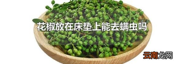 花椒放在床垫上能去螨虫吗
