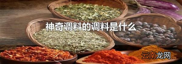 神奇调料的调料是什么
