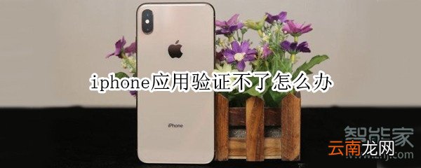 iphone应用验证不了怎么办