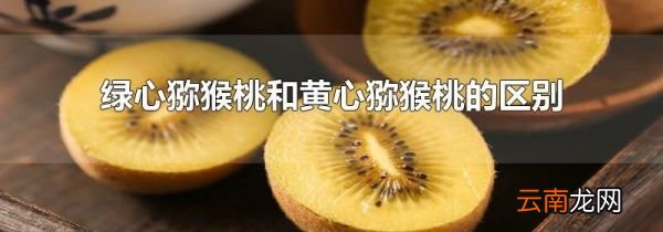 绿心猕猴桃和黄心猕猴桃的区别