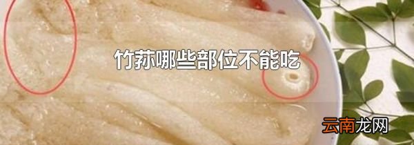 竹荪哪些部位不能吃