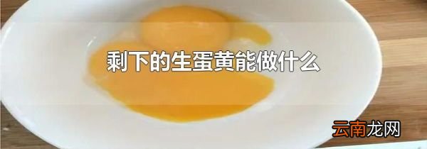 剩下的生蛋黄能做什么