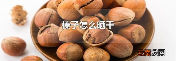 榛子怎么晒干