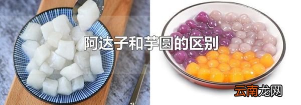 阿达子和芋圆的区别