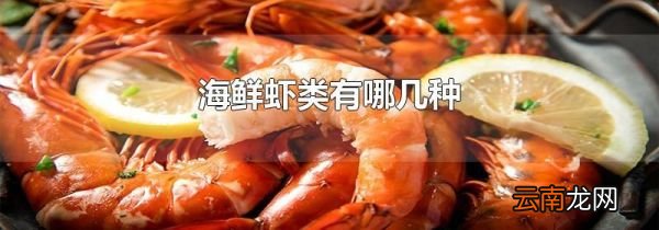 海鲜虾类有哪几种