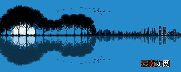 巴赫被誉为什么称号 著名作曲家巴赫被誉为什么