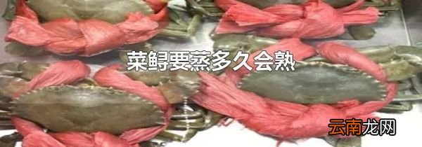 菜鲟要蒸多久会熟