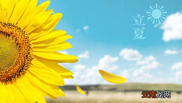 立夏的由来 立夏的来历