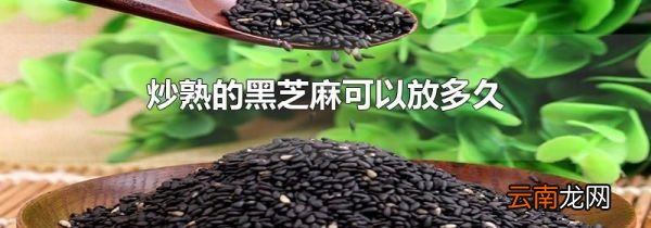 炒熟的黑芝麻可以放多久
