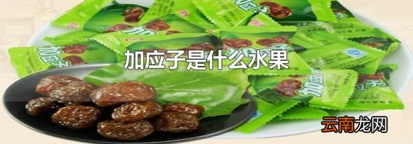 加应子是什么水果