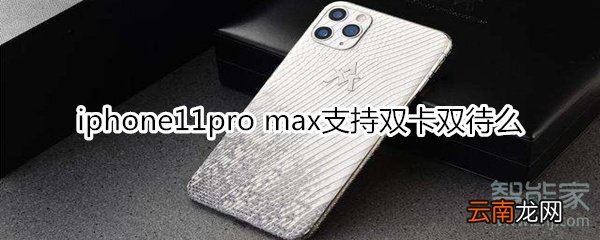 iphone11pro max支持双卡双待么