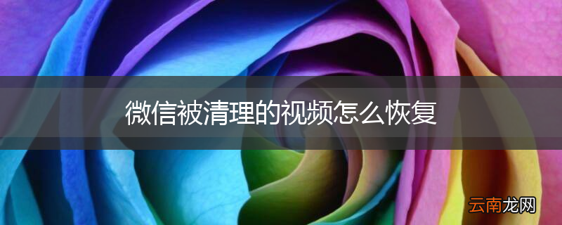 微信被清理的视频怎么恢复