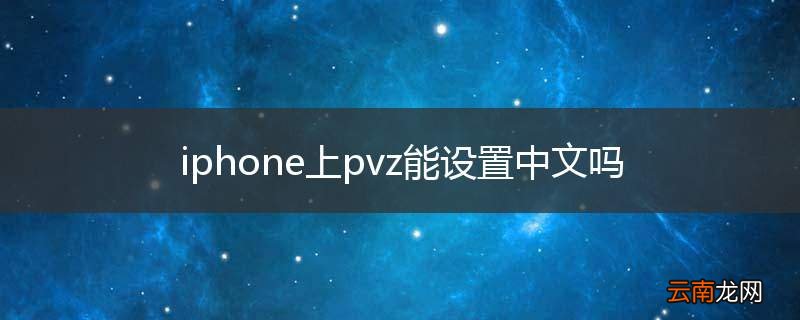 iphone上pvz能设置中文吗