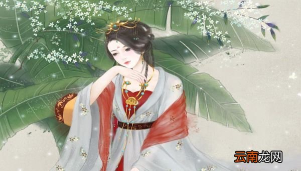 昙花一现是什么意思昙花一现的意思是什么