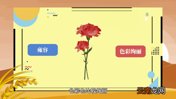 红色康乃馨花语 红色康乃馨花语是什么