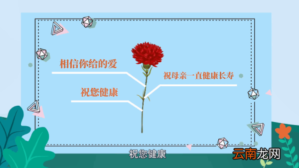 红色康乃馨花语 红色康乃馨花语是什么
