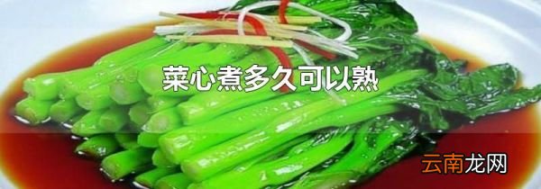 菜心煮多久可以熟