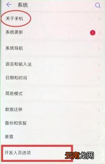 华为p30pro中开启开发者选项具体操作步骤