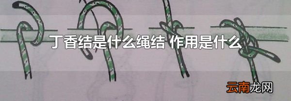 丁香结是什么绳结 作用是什么