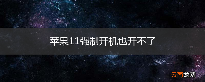 苹果11强制开机也开不了