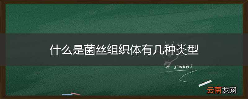 什么是菌丝组织体有几种类型