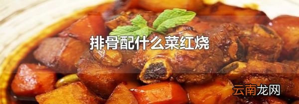 排骨配什么菜红烧