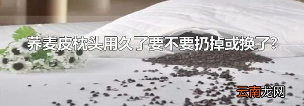 荞麦皮枕头用久了要不要扔掉或换了?