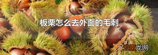 板栗怎么去外面的毛刺