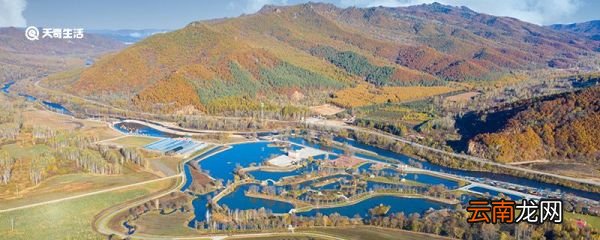伊春是哪个省的 伊春属于哪个省