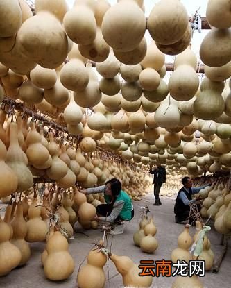 葫芦怎么晾干