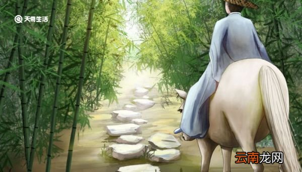 苏轼的字和号各是什么 苏轼字什么