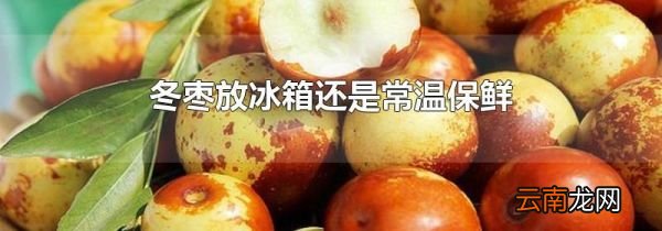 冬枣放冰箱还是常温保鲜