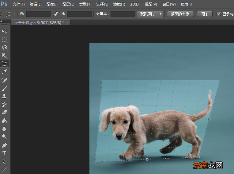 Photoshop中使用透视裁剪工具具体操作步骤
