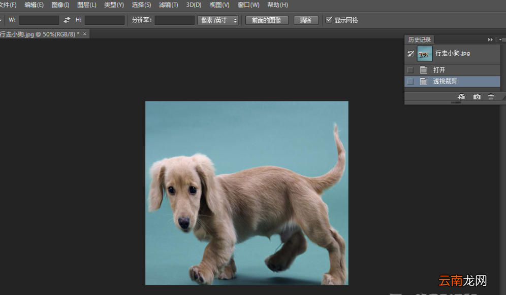 Photoshop中使用透视裁剪工具具体操作步骤