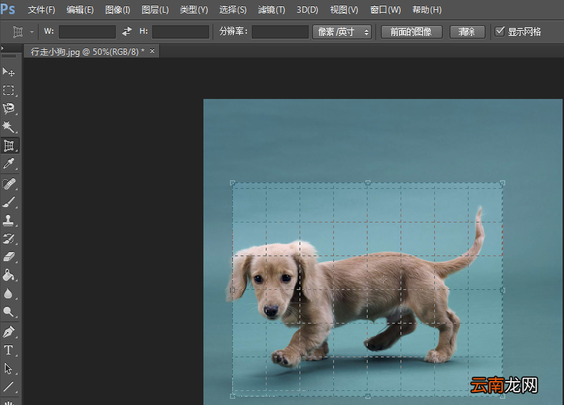 Photoshop中使用透视裁剪工具具体操作步骤