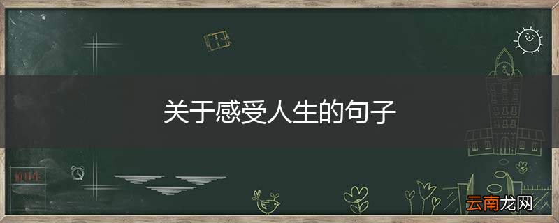 关于感受人生的句子